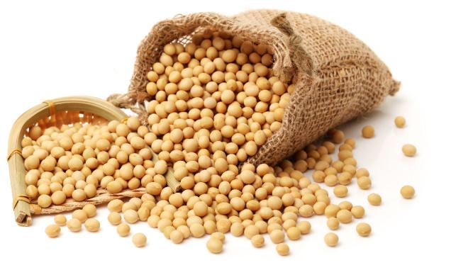 शेतकऱ्यांसाठी बातमी सोयाबीन बाजर भाव | Soybean Market Rate