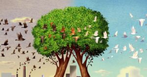 Oxygen giving trees |ऑक्सिजन देणारी ७ जीवनदायी वृक्ष