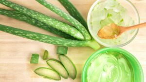 Aloe vera benefits for health महागडे कोरफड जेल घेण्यापेक्षा घरी कुंडीत लावा. वाचा कोरफड चे आरोग्यसाठी अनेक फायदे