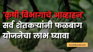 Maharashtra Goverment | कृषी विभागाच्या वतीने फळबाग लागवडी सह इतर  लाभाच्या अनुदान योजना चालू