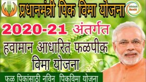 फळपीकांचा विमा उतरवा, शेतकऱ्यांना कृषी विभागाचे अवाहन | Take out insurance of fruit farming