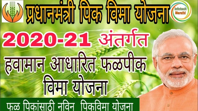 फळपीकांचा विमा उतरवा, शेतकऱ्यांना कृषी विभागाचे अवाहन | Take out insurance of fruit farming