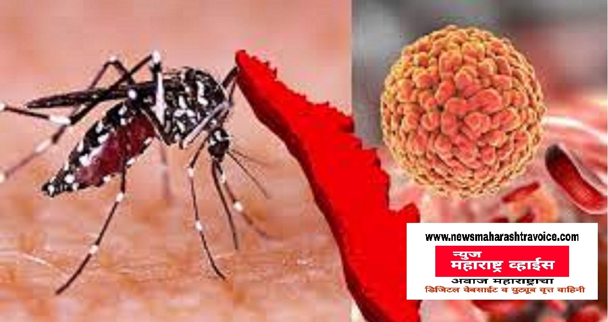 डंख छोटा, धोका मोठा – पावसाळ्यात डेंग्यू आजारापासून असे करा संरक्षण