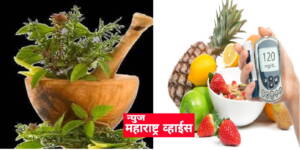 Health Tips : या 5 औषधी वनस्पती मधुमेहावर नियंत्रण ठेवण्यास करू शकतात मदत