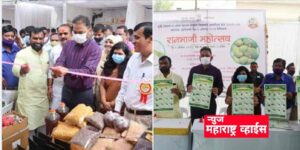 दुर्मीळ रानभाज्या महोत्सव, वाघाटे पासून कुर्डू पर्यंतच्या रानभाज्यांनी वेधले लक्ष