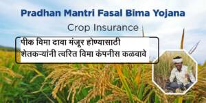 विमा कंपन्यांच्या माध्यमातून शेतकऱ्यांना १ हजार ८६८ कोटी ६४ लाख रुपयांच्या नुकसान भरपाईचे वितरण – कृषिमंत्री अब्दुल सत्तार
