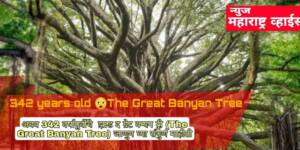 अबब 342 वर्षापुर्वीचे झाड द ग्रेट बन्यन ट्री (The Great Banyan Tree) जाणुन घ्या संपुर्ण माहीती