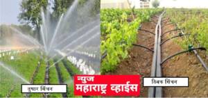 ठिबक सिंचनासाठी शेतकऱ्यांना ७५ व ८० टक्के अनुदान देण्याकरिता २०० कोटी रुपये निधी उपलब्ध – कृषिमंत्री दादाजी भुसे