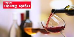 महाराष्ट्रातील द्राक्ष वाईन उद्योग, प्रक्रिया उद्योगास काय आहेत शासनाच्या सवलती? प्रकल्प उभारणीसाठी आवश्यक कागदपत्रे कोणती?