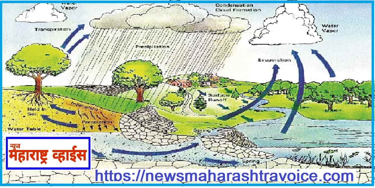 Monsoon Update केरळला मान्सून दाखल; महाराष्ट्रात १३जुन पर्यंत दाखल होण्याचा अंदाज