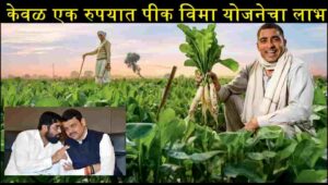 मंत्रिमंडळ निर्णय शेतकऱ्यांना एक रुपयात पीक विमा योजनेचा लाभ; लाखो शेतकऱ्यांना दिलासा