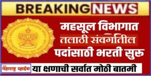 महसूल विभाग तलाठी संवर्गातील पदांच्या एकूण ४६२५ जागा भरणार